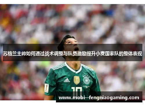苏格兰主帅如何通过战术调整与队员激励提升小麦国家队的整体表现