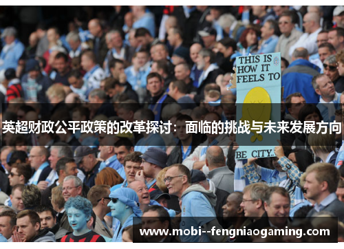 英超财政公平政策的改革探讨：面临的挑战与未来发展方向
