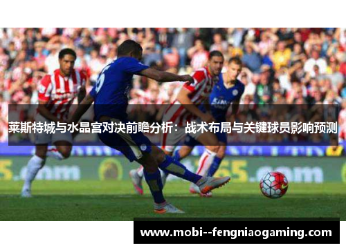 莱斯特城与水晶宫对决前瞻分析：战术布局与关键球员影响预测