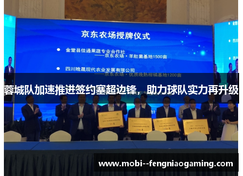 蓉城队加速推进签约塞超边锋，助力球队实力再升级