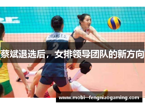 蔡斌退选后，女排领导团队的新方向
