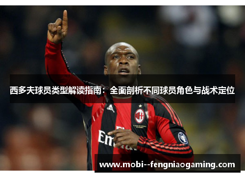 西多夫球员类型解读指南：全面剖析不同球员角色与战术定位