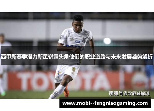 西甲新赛季潜力新星崭露头角他们的职业道路与未来发展趋势解析