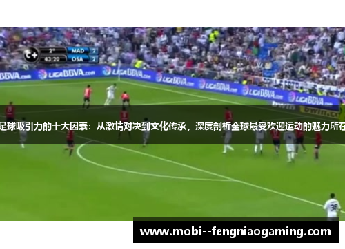 足球吸引力的十大因素：从激情对决到文化传承，深度剖析全球最受欢迎运动的魅力所在