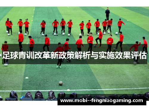 足球青训改革新政策解析与实施效果评估