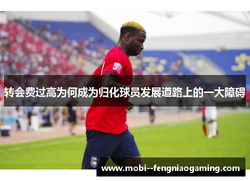 转会费过高为何成为归化球员发展道路上的一大障碍