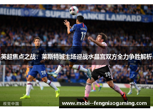 英超焦点之战：莱斯特城主场迎战水晶宫双方全力争胜解析