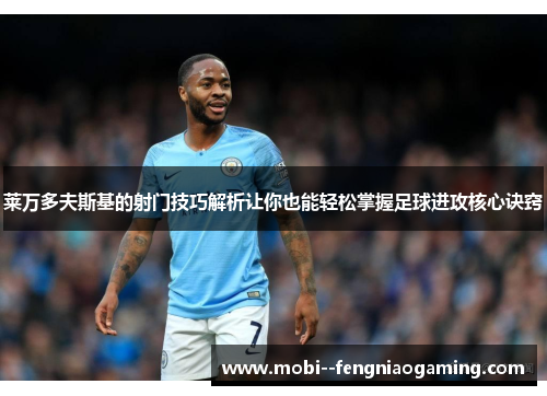 莱万多夫斯基的射门技巧解析让你也能轻松掌握足球进攻核心诀窍