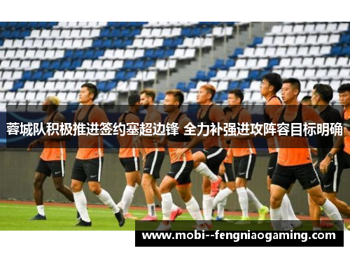 蓉城队积极推进签约塞超边锋 全力补强进攻阵容目标明确 蓉城队积极推进签约塞超边锋 全力补强进攻阵容目标明确