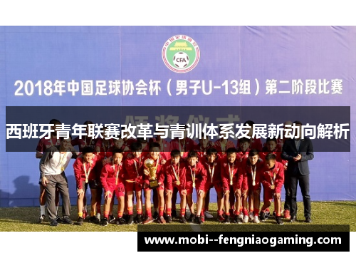 西班牙青年联赛改革与青训体系发展新动向解析