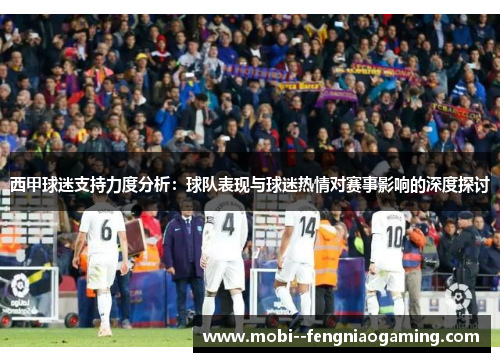 西甲球迷支持力度分析：球队表现与球迷热情对赛事影响的深度探讨