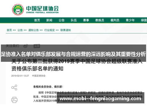 足协准入名单对俱乐部发展与合规运营的深远影响及其重要性分析