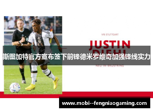 斯图加特官方宣布签下前锋德米罗维奇加强锋线实力