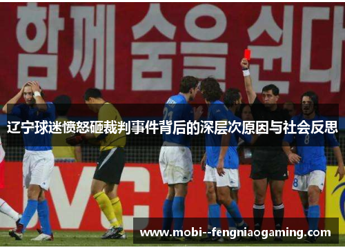 辽宁球迷愤怒砸裁判事件背后的深层次原因与社会反思