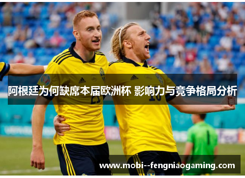 阿根廷为何缺席本届欧洲杯 影响力与竞争格局分析
