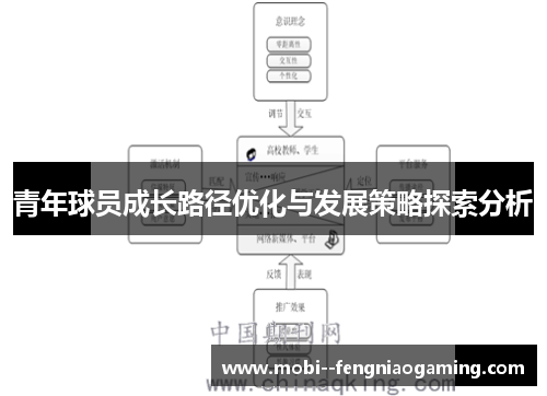 青年球员成长路径优化与发展策略探索分析