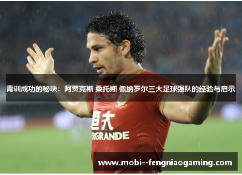 青训成功的秘诀：阿贾克斯 桑托斯 佩纳罗尔三大足球强队的经验与启示
